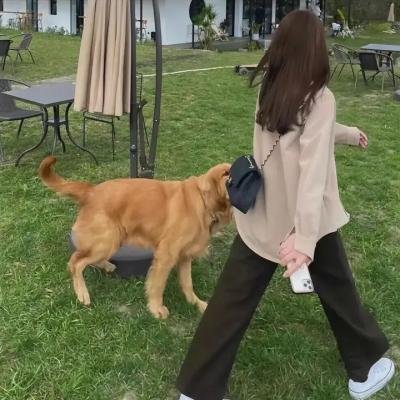 生死决